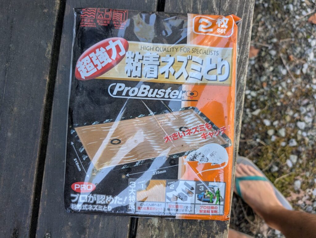 [西洋ミツバチ養蜂]スズメバチの対策３つ